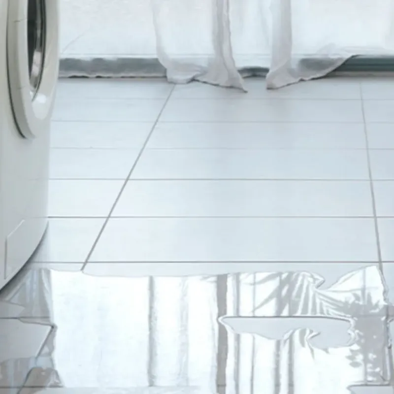 Appliance Leak Cleanup in River Falls, WI
