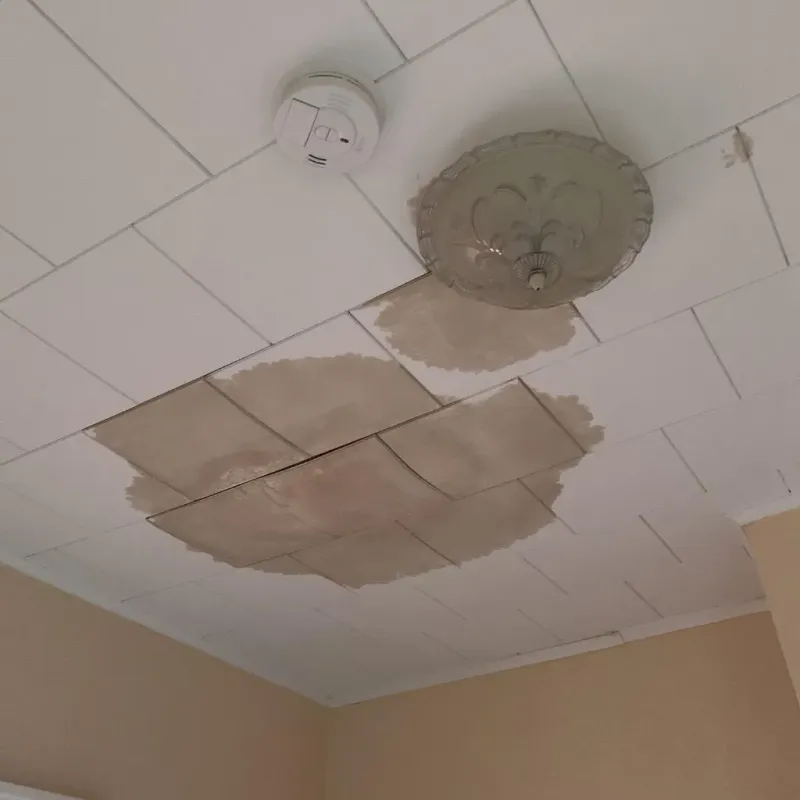 Ceiling Water Damage Repair in River Falls, WI