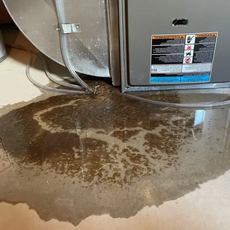 Pipe Burst and Leak Restoration in River Falls, WI